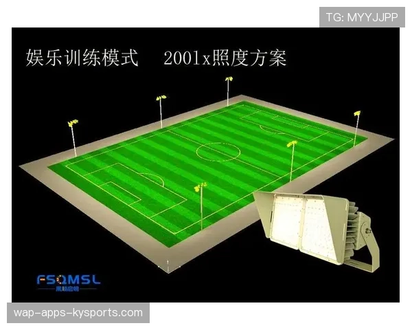 球场夜间节能灯具的采购与回收成本分析，球场灯具选型